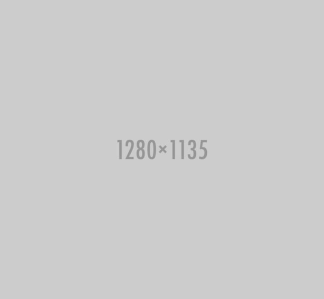100 binner