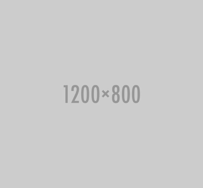 101 card2